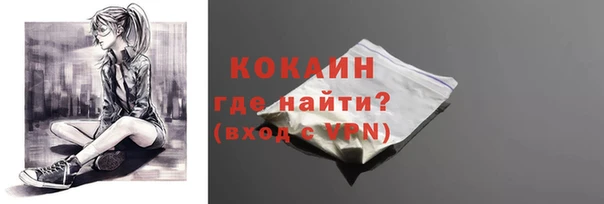 соль ск Касимов