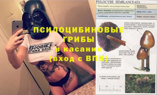 спиды Карпинск